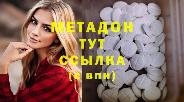 гидра Няндома