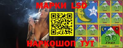 гашик Донецк