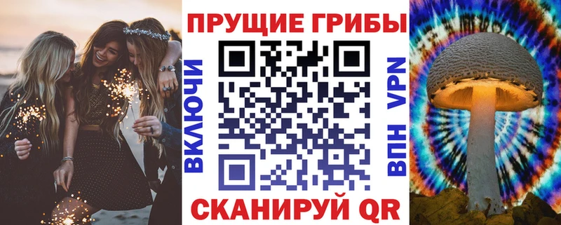 даркнет как зайти  Протвино  Псилоцибиновые грибы мухоморы 