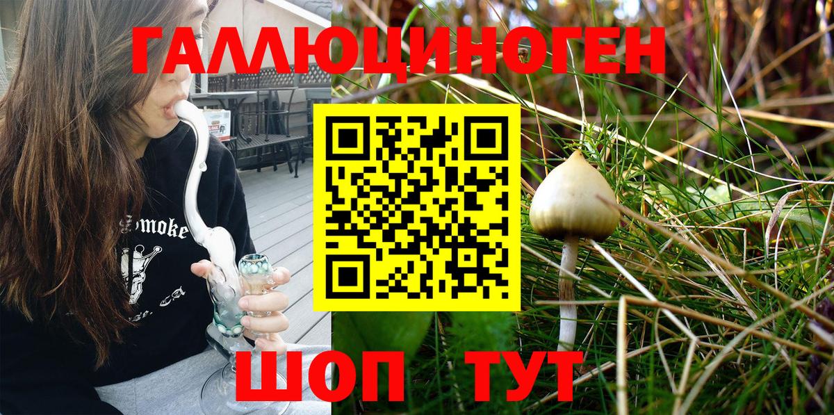 Галлюциногенные грибы Magic Shrooms  Псилоцибиновые грибы GOLDEN TEACHER  Протвино  Вход с VPN 